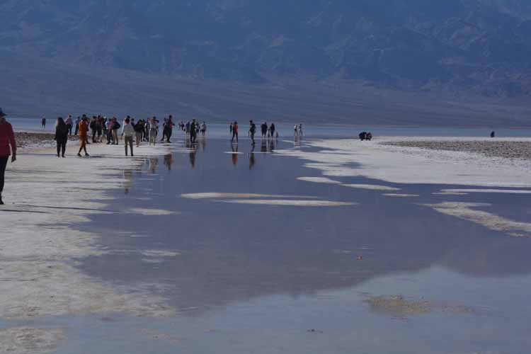 people in water